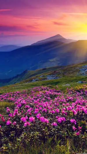 Majestic Spring Mountain Landscape