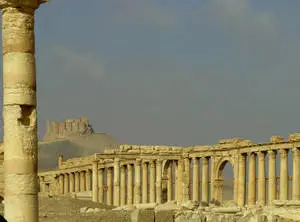 Sturdy Pillars Of The Roman Ruins, Palmyra