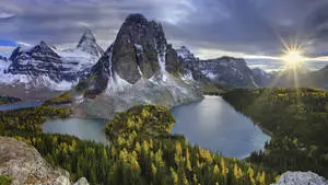 Enjoy an Intimate Summer Evening Out in Nature 