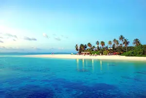 A Serene Summer Landscape
