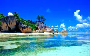 Summer Vacation Spot