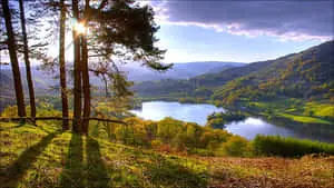 Lake Nature Scenery Sunny Day 