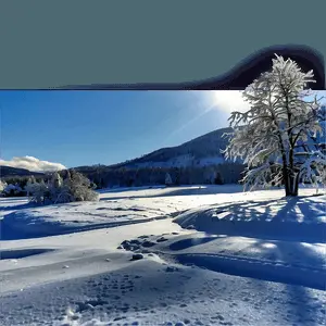 Sunny Winter Landscape PNG ljf