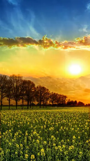 Sunset 2160 x 3840 background