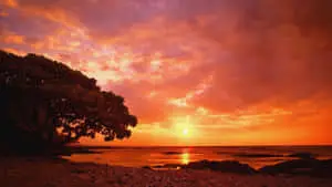 Stunning Golden Sunset Over Rolling Hills