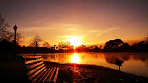 Captivating Sunset Landscape