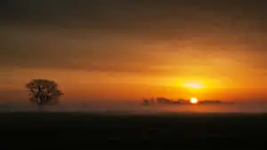 Captivating Sunset Landscape