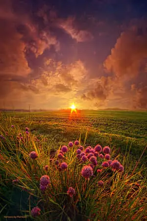 Breathtaking View at Sunset