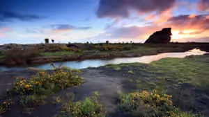 Sunset Serenity Coastline.jpg