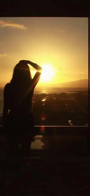 Majestic Sunset Silhouette