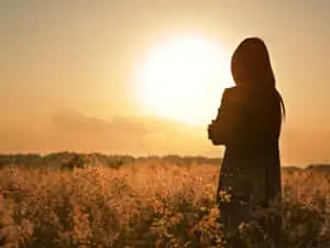 Captivating Sunset Silhouette