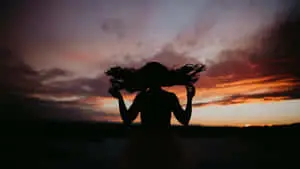 Sunset Silhouette: A Majestic View