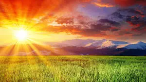 Sunshine Mountains Grass Field