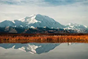 Symmetrical Denali Reflection