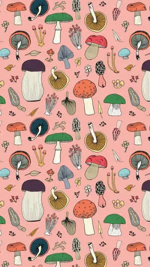 Surreal Trippy Mushroom Fantasy