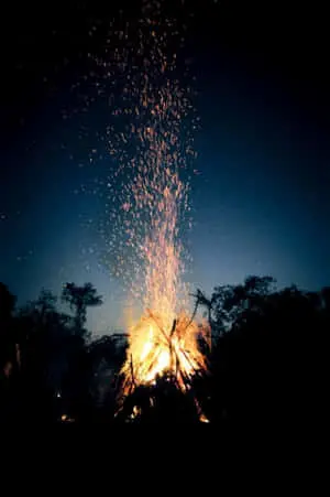Get lost in the beauty of nature