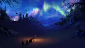 A Majestic Winter Wonderland