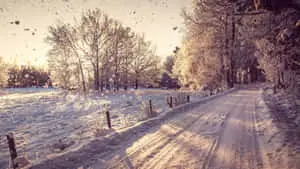 Winter Background