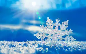 Winter Background