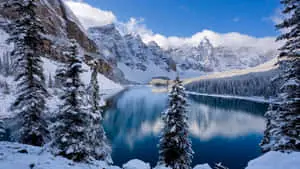 Winter Background