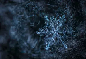 Winter Background