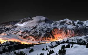 Winter Background