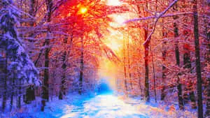 Winter Background