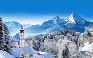 Winter Background