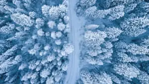 Winter Background