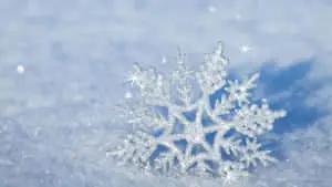 Winter Background