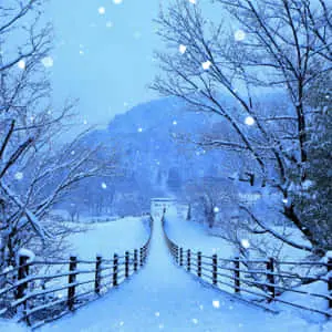 Winter Background