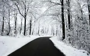 Winter Background