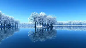 Winter Background