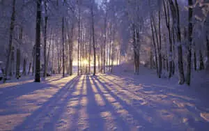 Winter Background