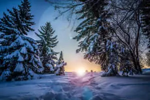A Serene Winter Landscape