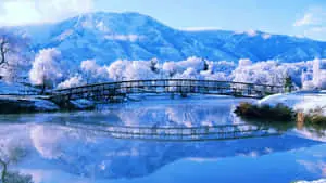 Serene Winter Landscape