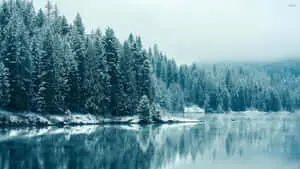  Caption: Serene Snowy Winter Landscape 