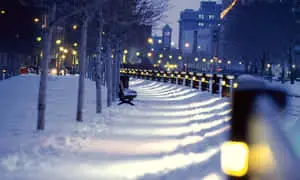 Winter Cityscape with Snow Covered Streets