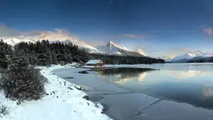 Winter Wonderland 