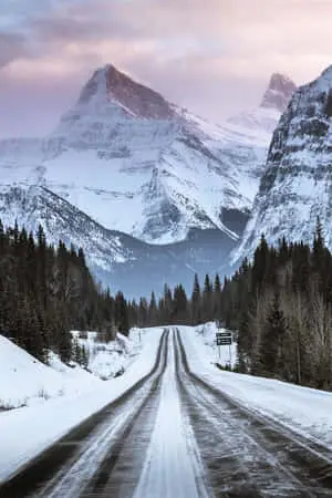 Captivating Winter Wonderland