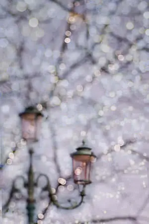 Majestic Snowy Landscape
