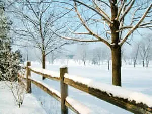 A solitary road winding through a picturesque winter wonderland in the woods.