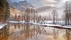 Captivating Winter Landscape 