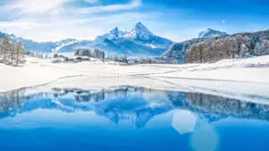 Cold Winter Wonders 