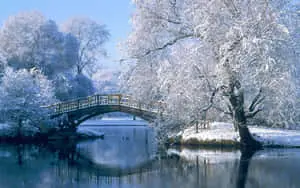 Explore The Beauty Of Winter In Nature