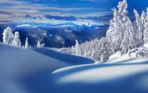 Enjoy the beauty of Winter in the countryside