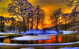 Winter Sun Illuminating a Snowy Landscape