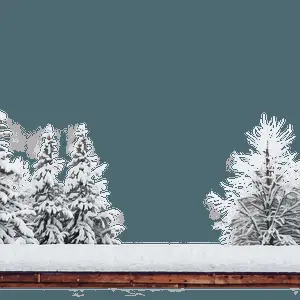 Winter Trees and Snowy Rooftops PNG yxw