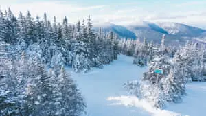 Snow Winter Wonderland Pine Trees Picture