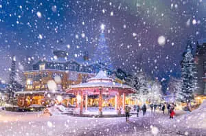 Magical Christmas Winter Wonderland Picture